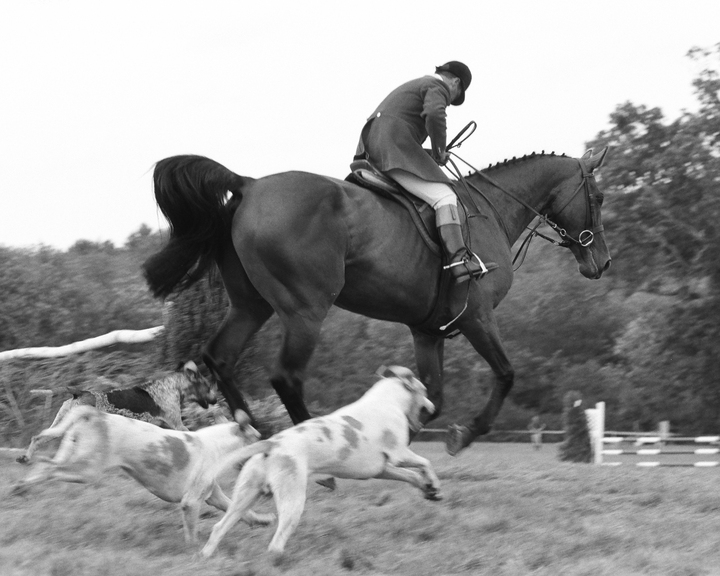 Myopia Horse Show